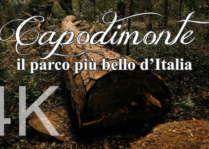 Alla Corte Del Re Dimora Storica Napoli